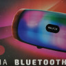 Bluetooth колонка Walker WSP-120 BT5.0/10Вт/1200mAh/3ч серая