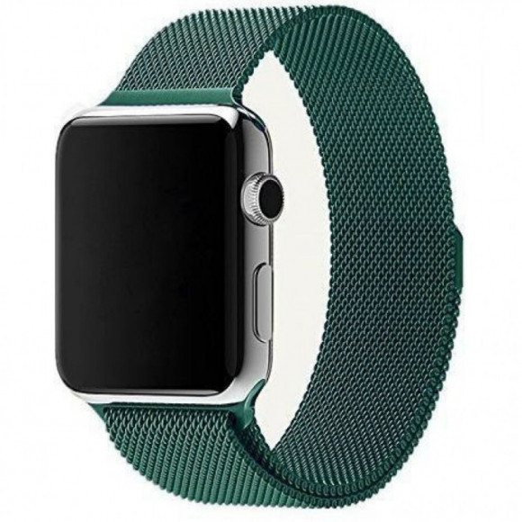 Сменный браслет для Apple Watch 38-40mm Milano №23 светло-зелёный